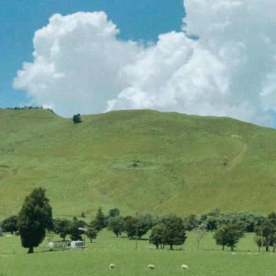 反斗家族之梦幻卡丁车